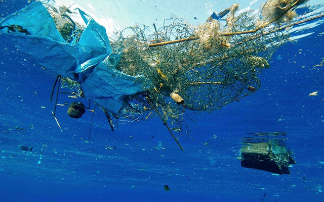 5 Netflix-Dokumentationen über Nachhaltigkeit - A Plastic Ocean