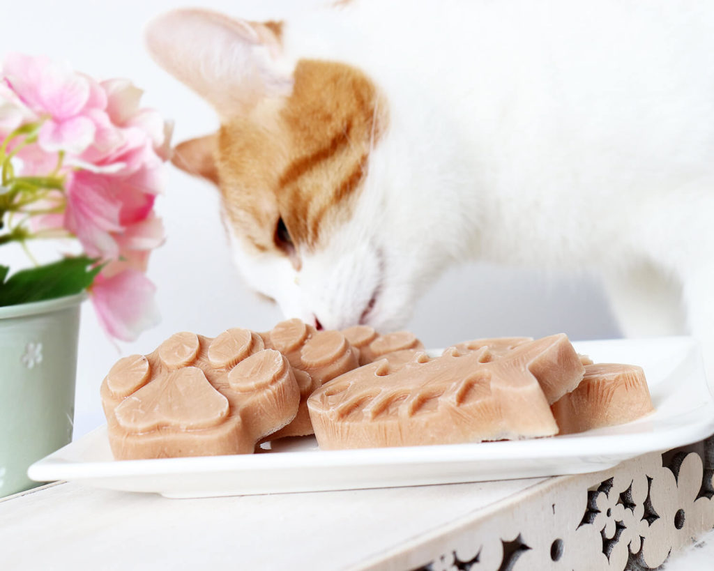 DIY Snacks für Katzen