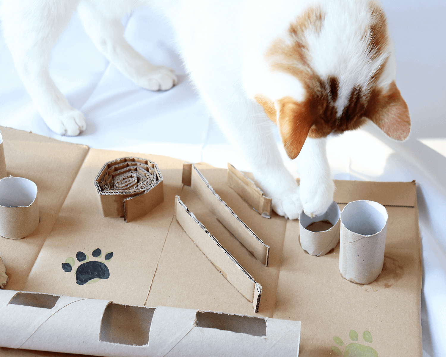 Upcycling Idee Diy Katzenspielzeug Aus Pappe Und Co Green Miracle