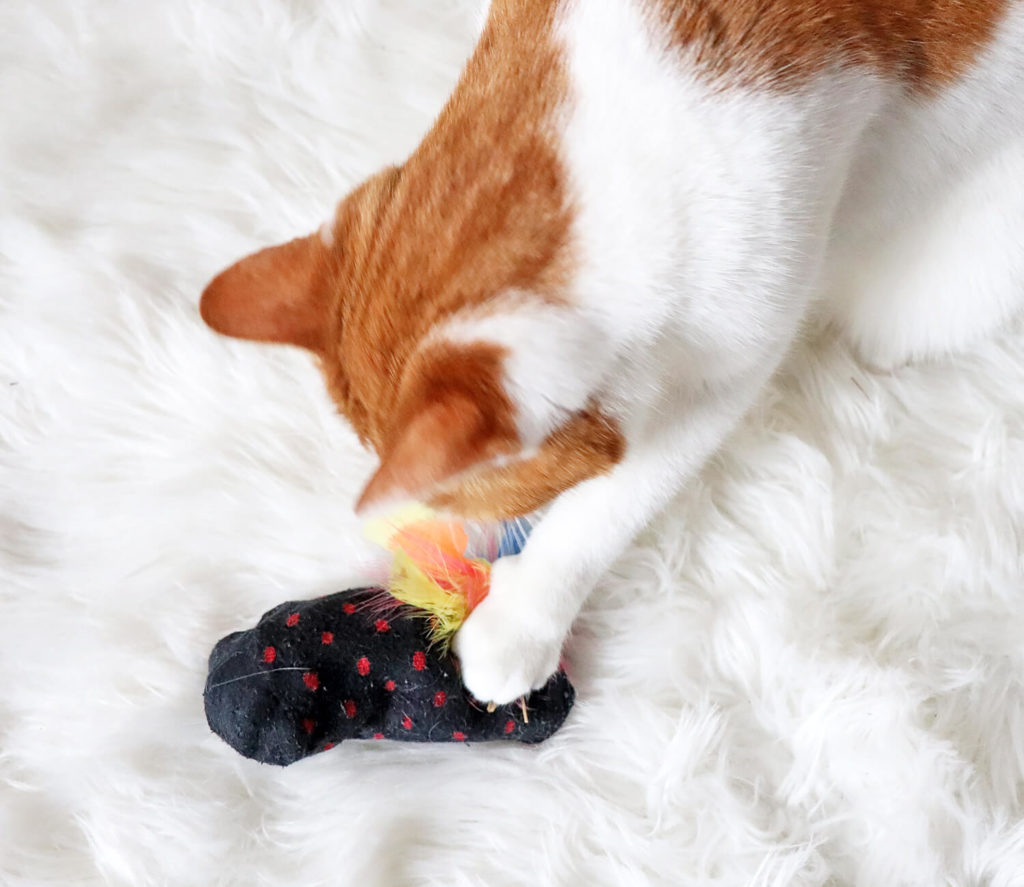 DIY Katzenspielzeug aus Socken