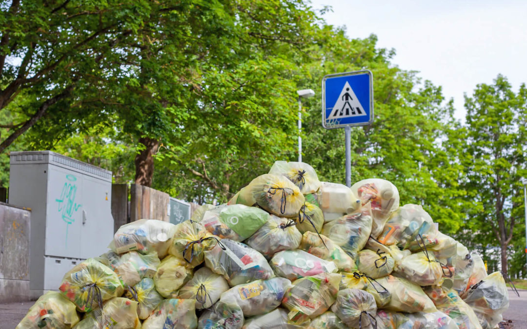Zero Waste Food: 5 Tipps gegen Lebensmittelverschwendung!