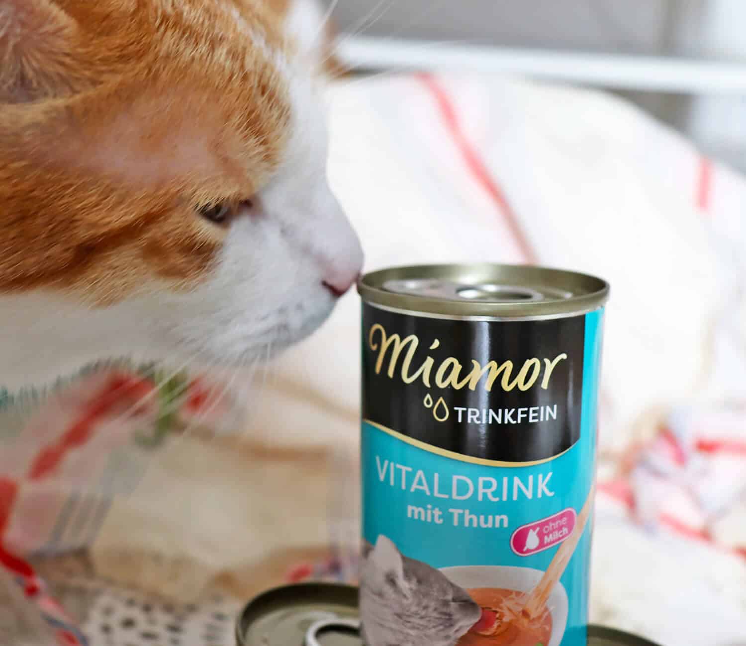trinkfein2 Katzen Trinken mehr - Miamor Trinkfein