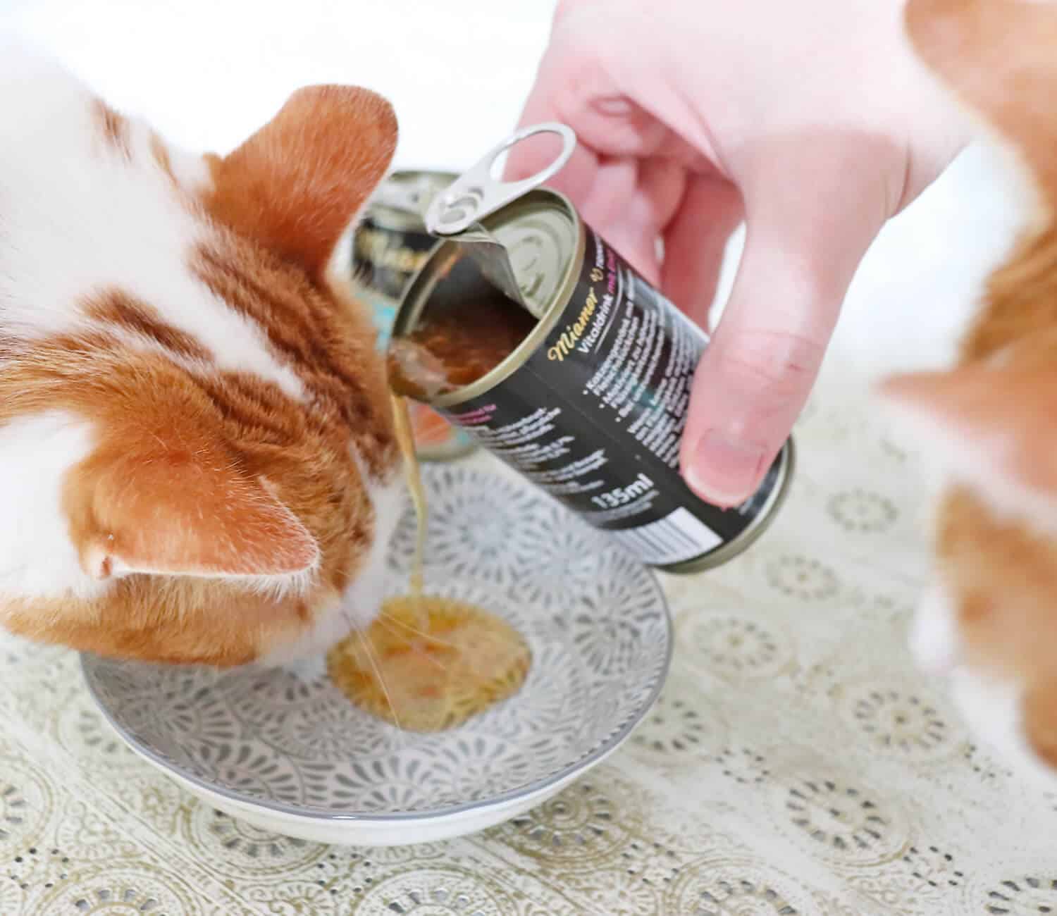 trinkfein3 Katzen Trinken mehr - Miamor Trinkfein