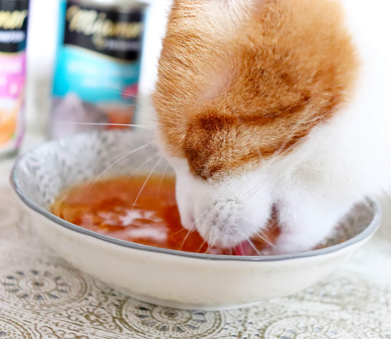 Katzen Trinken mehr - Miamor Trinkfein