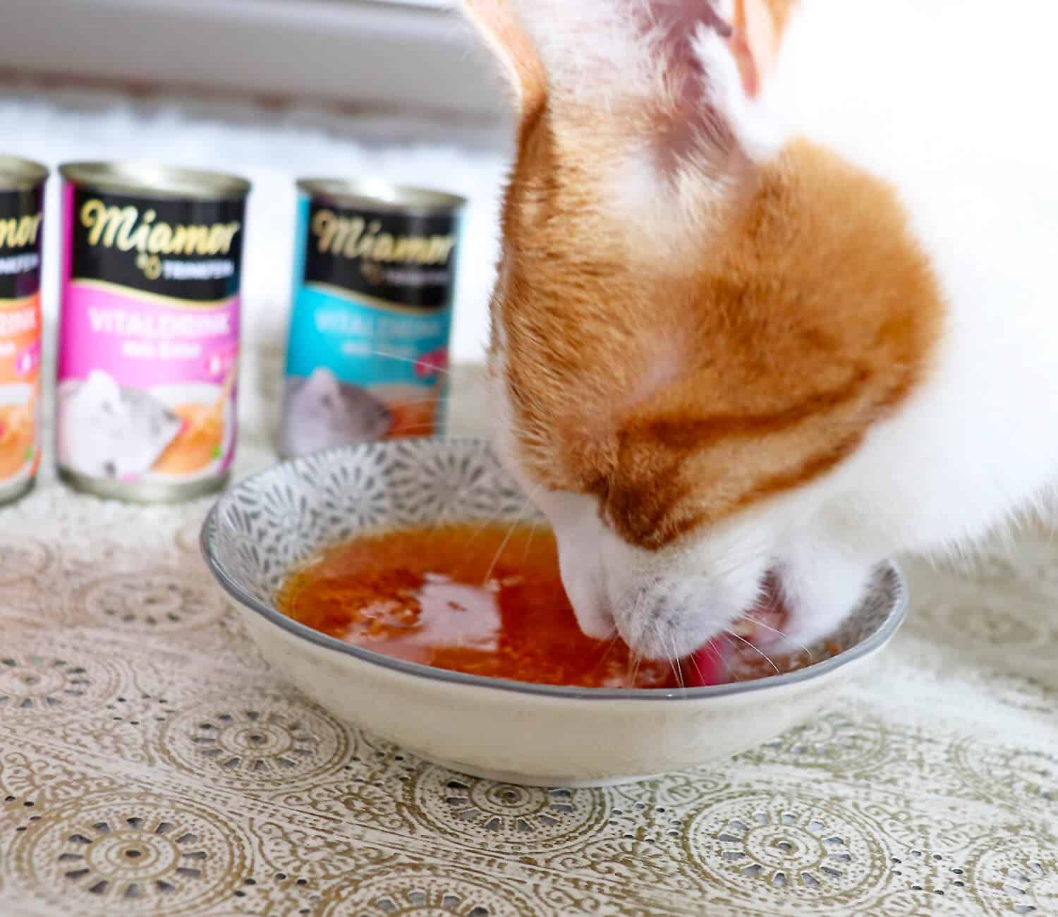 trinkfein6 Katzen Trinken mehr - Miamor Trinkfein