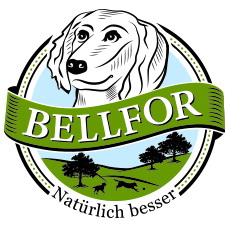 Bellfor - Nachhaltiges Hundefutter mit Insektenprotein