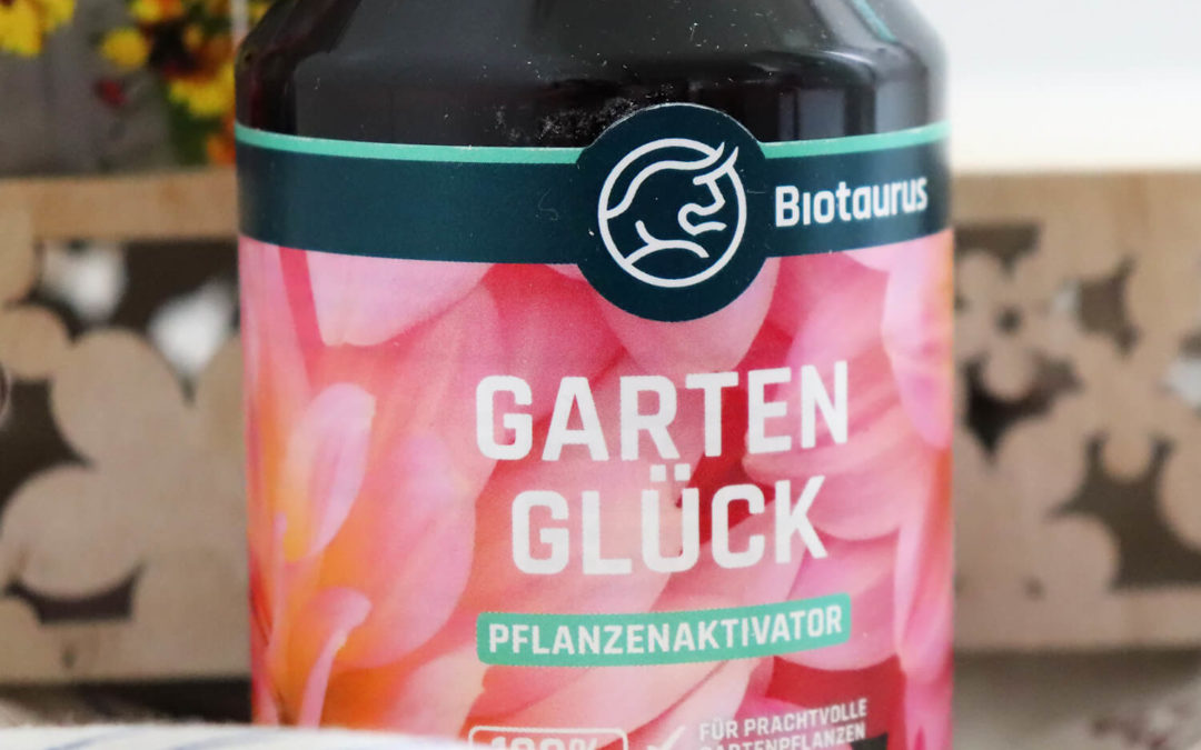 Diese regionalen Blumen solltest du im Frühling anpflanzen! / TrendRaider TrendBox März 2021